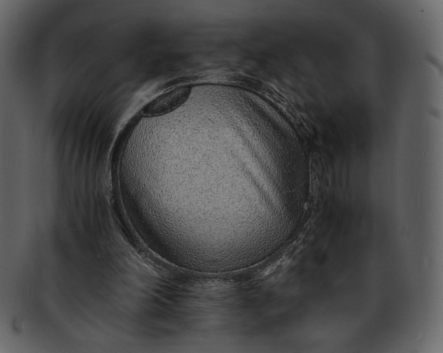 X0000093230198200710171426