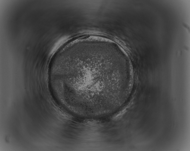 X0000093230199200710171426