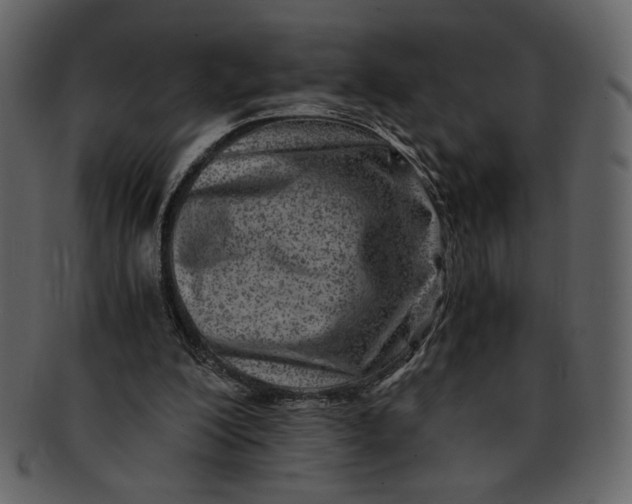 X0000093230200200710171426