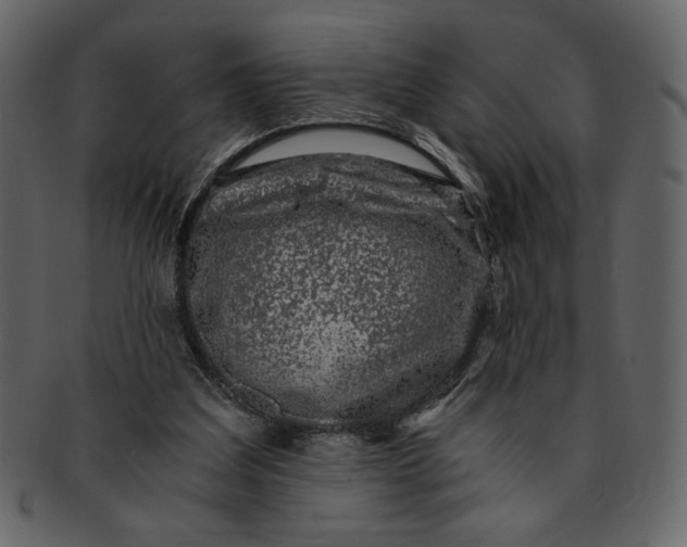 X0000093230203200710171426