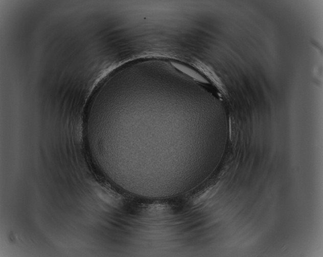 X0000093230204200710171426