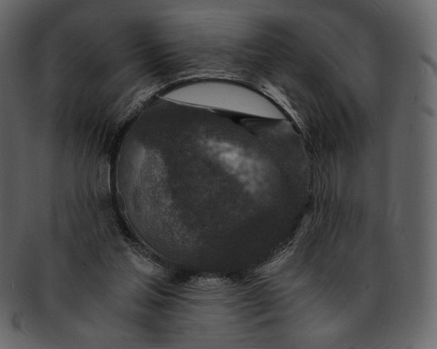 X0000093230205200710171426