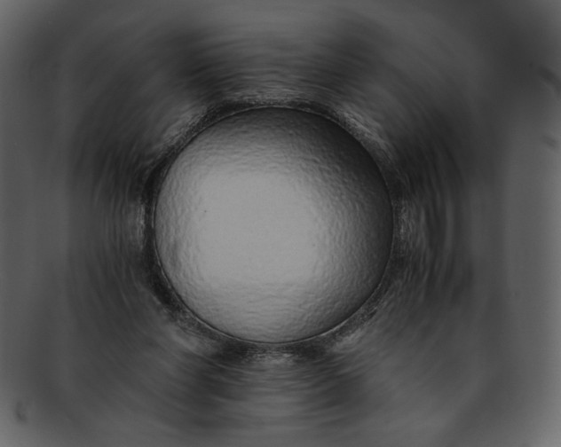 X0000093230206200710171426