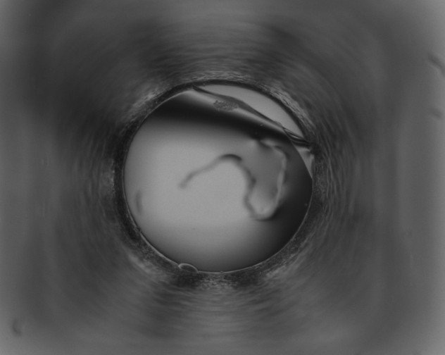 X0000093230207200710171426