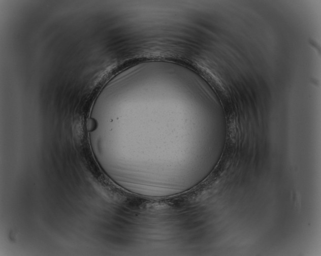 X0000093230208200710171426