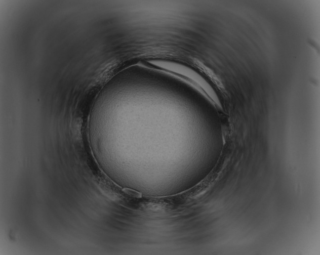 X0000093230209200710171426