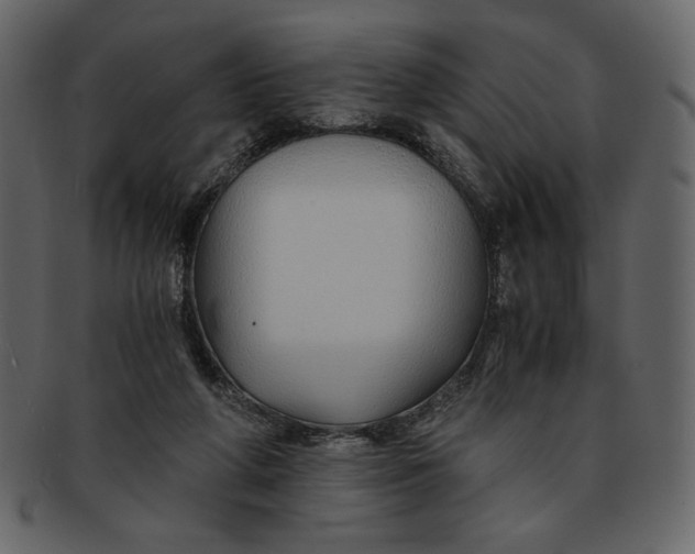 X0000093230210200710171426