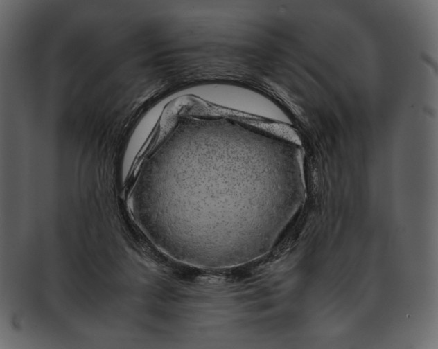 X0000093230211200710171426