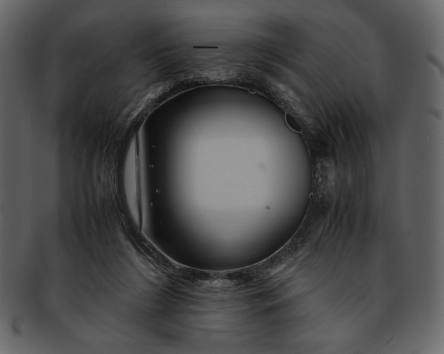 X0000093230212200710171426