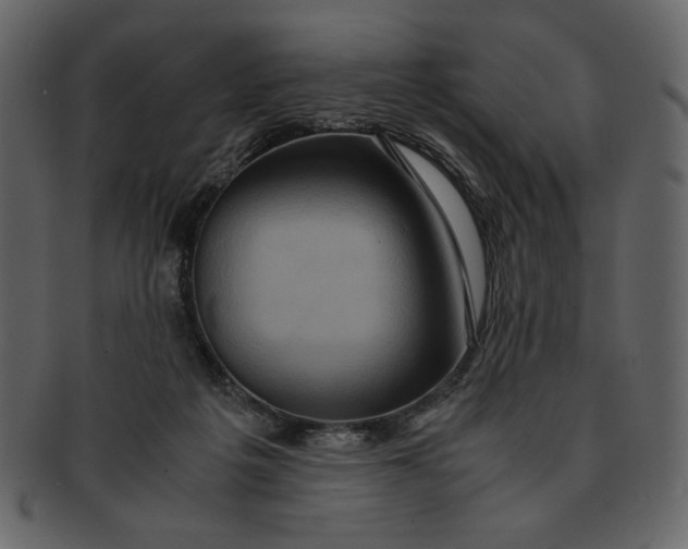 X0000093230217200710171426