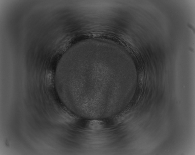 X0000093230222200710171425