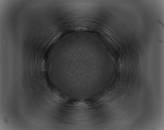 X0000093230224200710171425