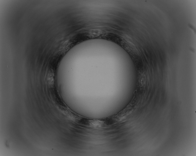 X0000093230226200710171425