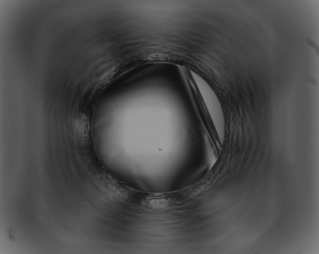 X0000093230228200710171425