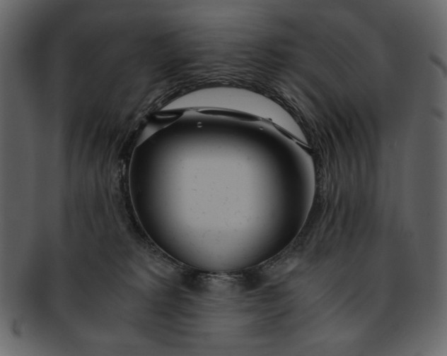 X0000093230229200710171425