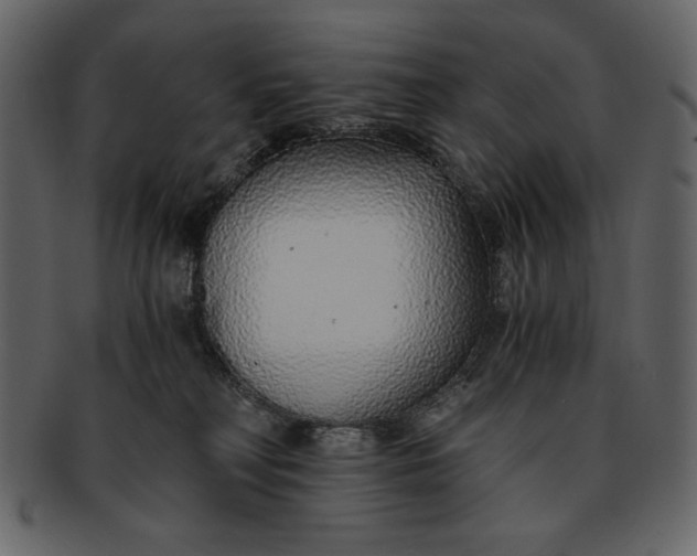 X0000093230230200710171425