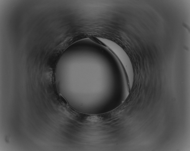 X0000093230231200710171425