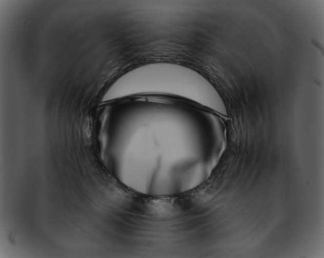 X0000093230232200710171425