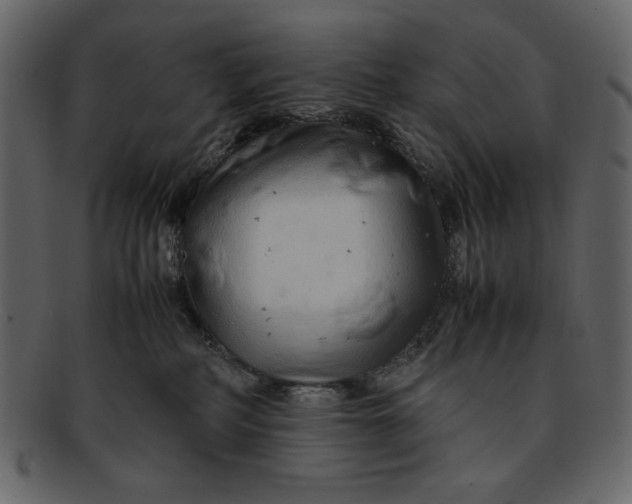 X0000093230234200710171425