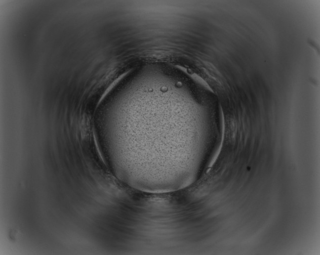 X0000093230236200710171425