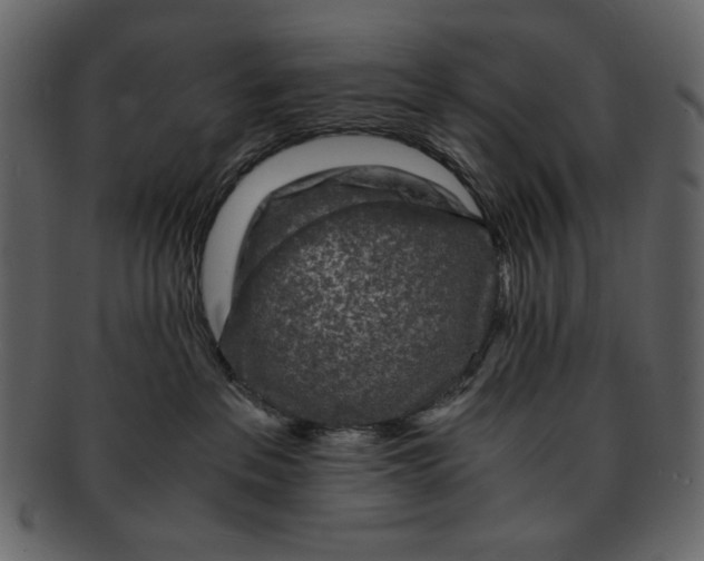 X0000093230237200710171425