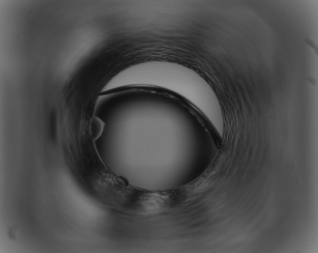 X0000093230239200710171425