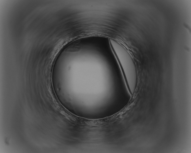 X0000093230241200710171425