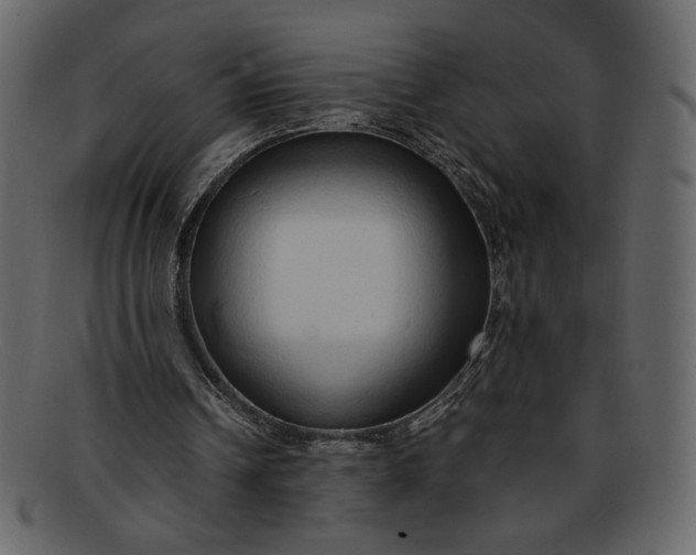 X0000093230242200710171425