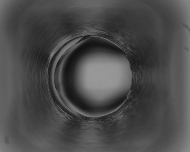 X0000093230244200710171425