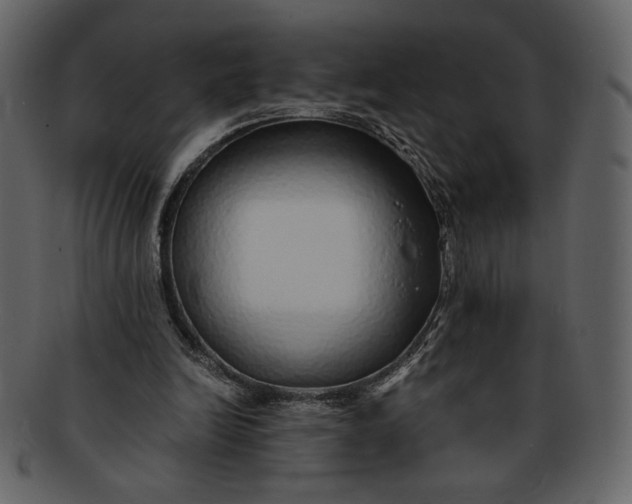 X0000093230246200710171425