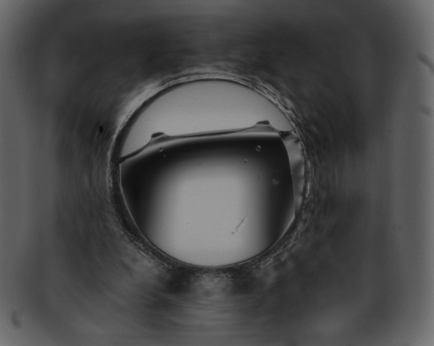 X0000093230248200710171425