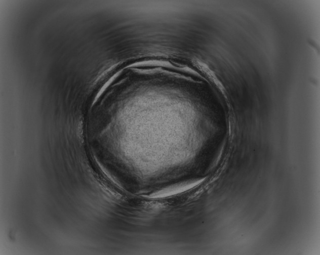 X0000093230249200710171425