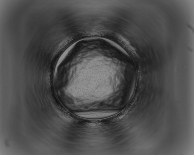 X0000093230250200710171425