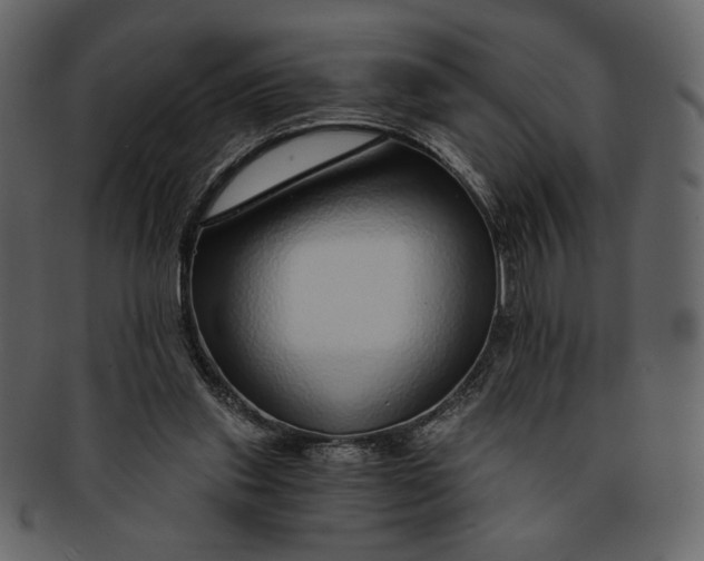 X0000093230253200710171425