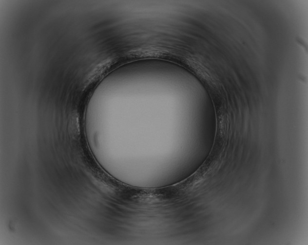 X0000093230254200710171425