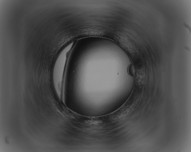 X0000093230255200710171425