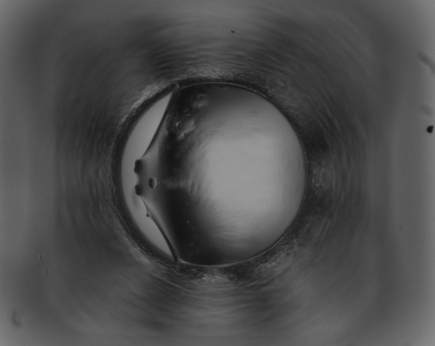 X0000093230256200710171425