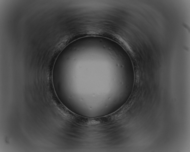 X0000093230257200710171425