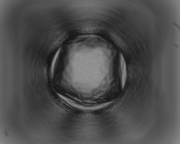 X0000093230258200710171425