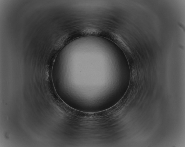 X0000093230259200710171425