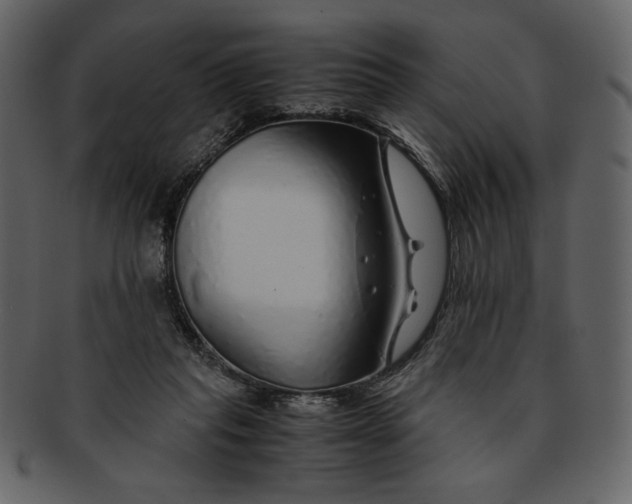 X0000093230261200710171425