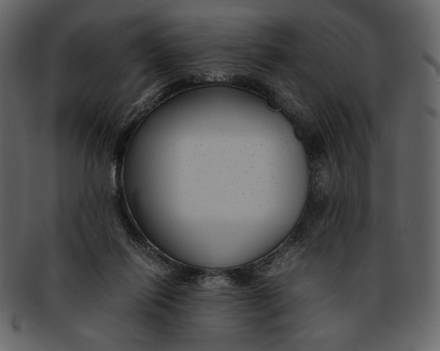 X0000093230262200710171425