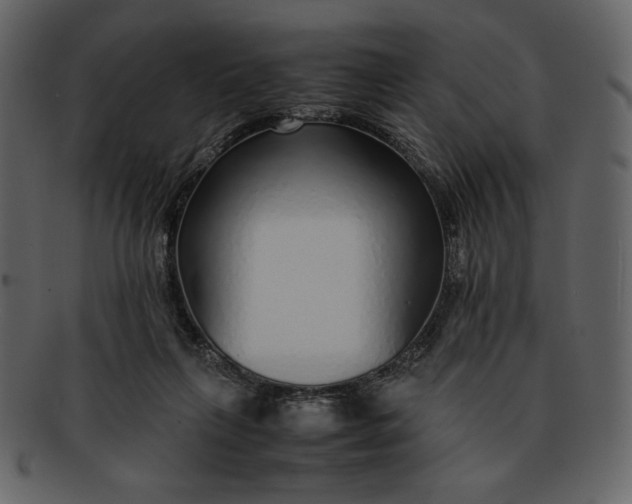 X0000093230263200710171425