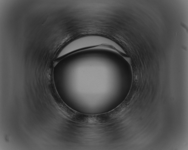 X0000093230264200710171425