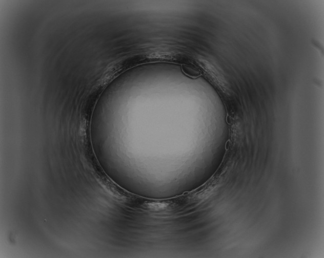 X0000093230265200710171425