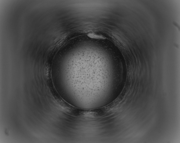 X0000093230268200710171425