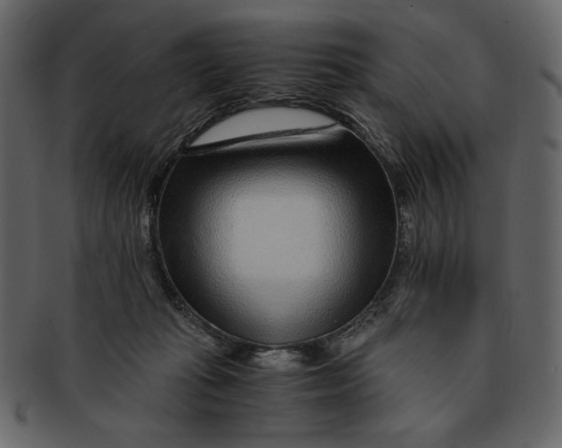 X0000093230269200710171425