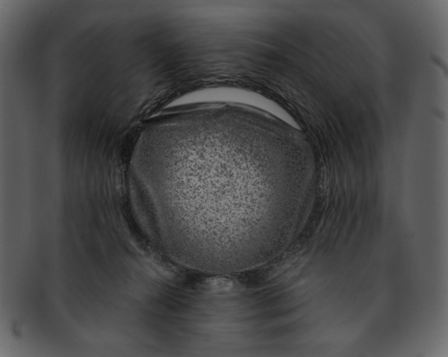 X0000093230272200710171425