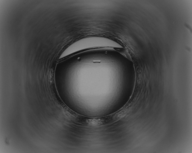 X0000093230273200710171425