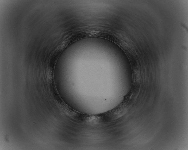 X0000093230274200710171425